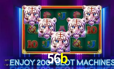 Flash Promotion 56b
